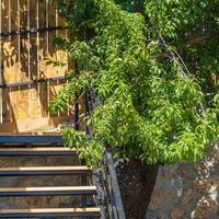 Villa Belis — 68