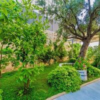 Villa July — 22