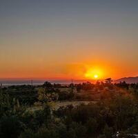 Villa Olivet — 7