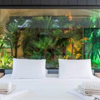 Villa Havanas — 50