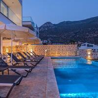 Villa Lion — 11