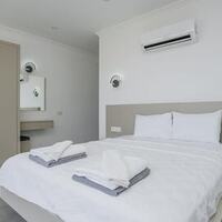 Villa Lion — 101