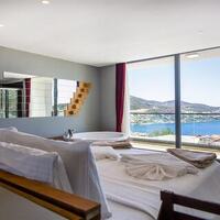 Villa Tigra — 36