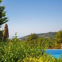 Villa Zeytin Evi — 6