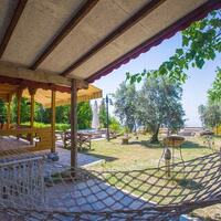 Villa Zeytin Evi — 9