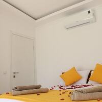 Villa Vector House — 34