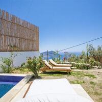Villa Roze — 7
