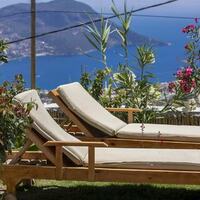Villa Roze — 9