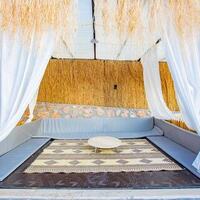 Villa Sunflower — 15