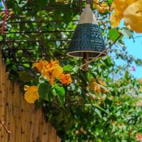 Villa İstanblue — 29
