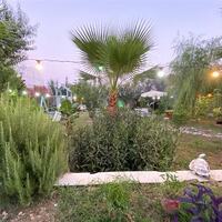 Villa Natural Çavdır — 28
