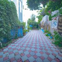 Villa Natural Çavdır — 30