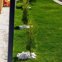 Villa Desiderio — 31