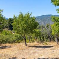 Villa Desiderio — 36