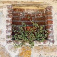 Villa Desiderio — 48