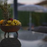 Villa Malibu — 27