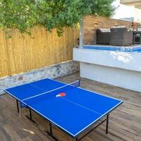 Villa Palas — 45