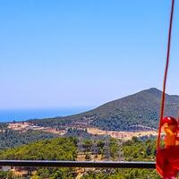Villa Dimare 3 — 55