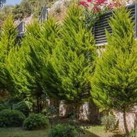 Villa Melida Trio — 62
