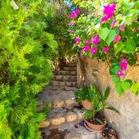 Villa Melisa 1 — 47