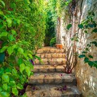 Villa Melisa 1 — 49