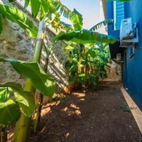 Villa Everest — 15