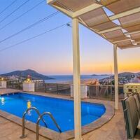 Villa Palm — 1