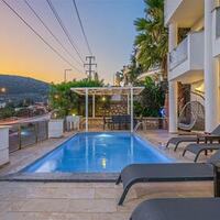 Villa Palm — 4