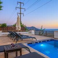 Villa Palm — 6