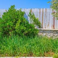Villa Emma — 49