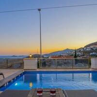 Villa Palm — 8