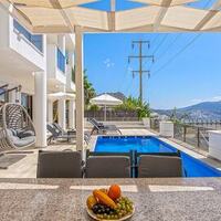 Villa Palm — 12