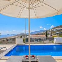 Villa Palm — 15