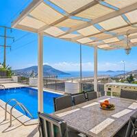 Villa Palm — 16