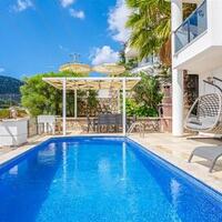 Villa Palm — 17