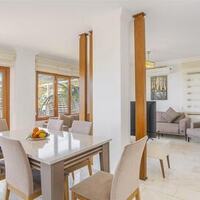 Villa Palm — 28