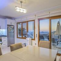 Villa Palm — 29