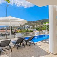 Villa Palm — 50
