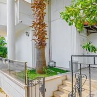 Villa Palm — 51