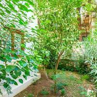 Villa Palm — 54