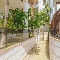 Villa Palm — 55