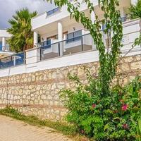 Villa Palm — 56