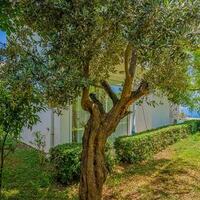Villa Al Nuzha — 30