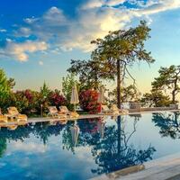 Villa Serenity — 42
