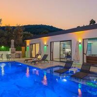 Villa Karaardıç — 1