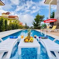 Villa Elisa — 2