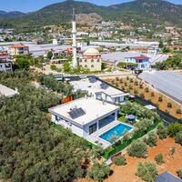 Villa Olive — 50