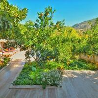 Villa Ayaz — 10