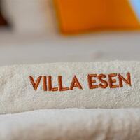 Villa Esen Kışla — 28