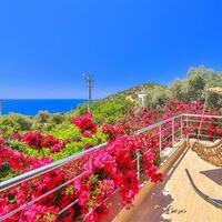 Villa Sarı Kaş — 17